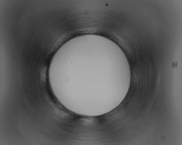 X0000089400118200707131748