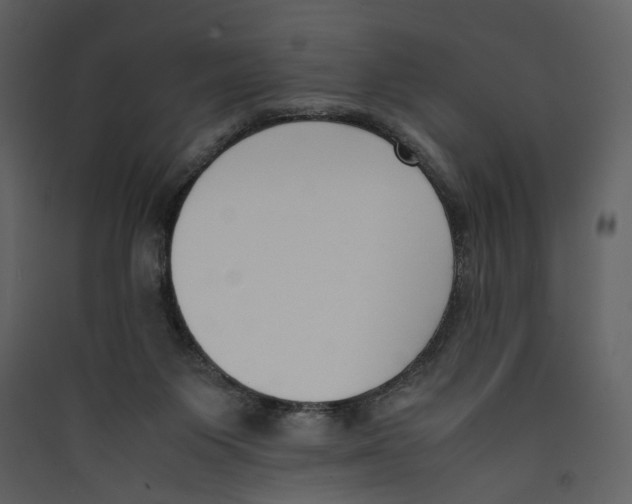X0000089400119200707131748