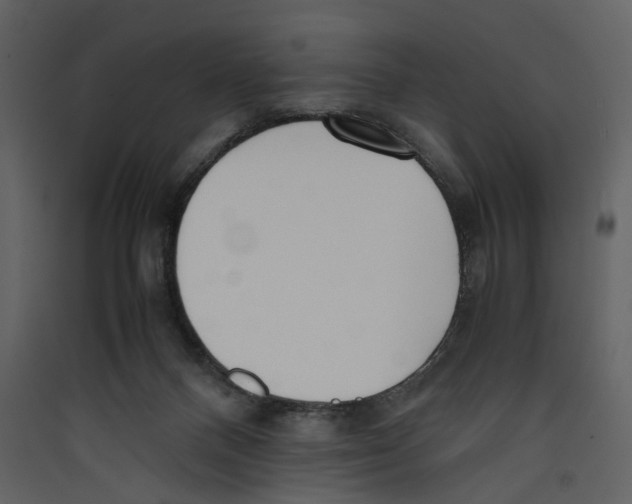 X0000089400120200707131748