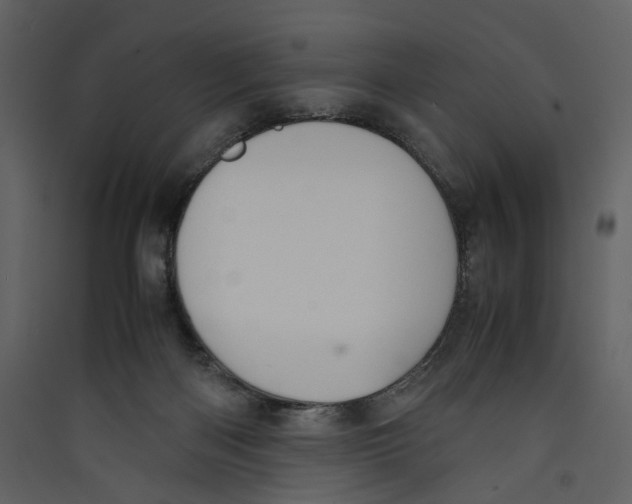 X0000089400122200707131748