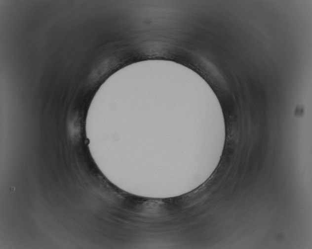 X0000089400124200707131748