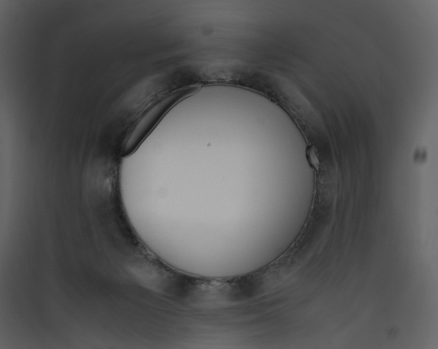 X0000089400125200707131748