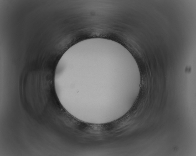 X0000089400127200707131748