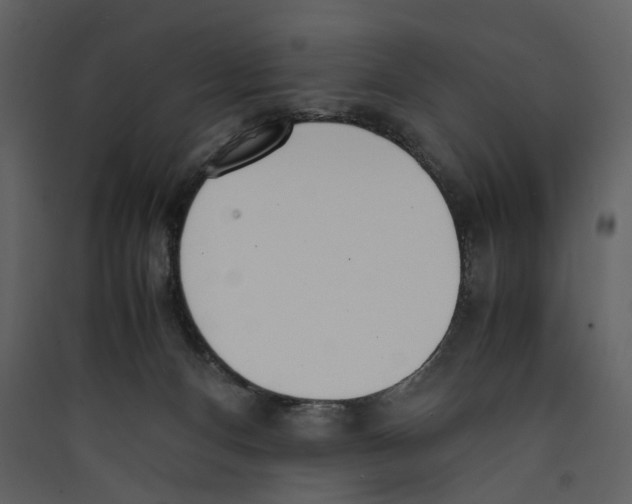 X0000089400128200707131748