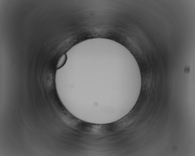 X0000089400130200707131747