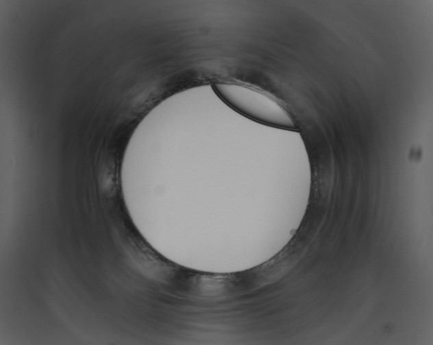X0000089400134200707131747