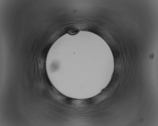 X0000089400139200707131747