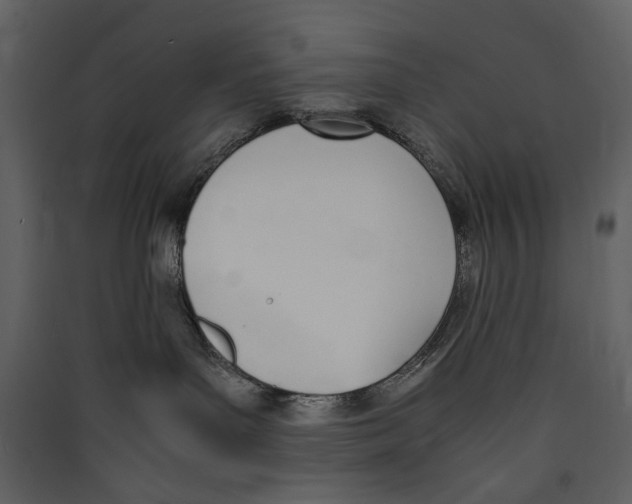 X0000089400143200707131747