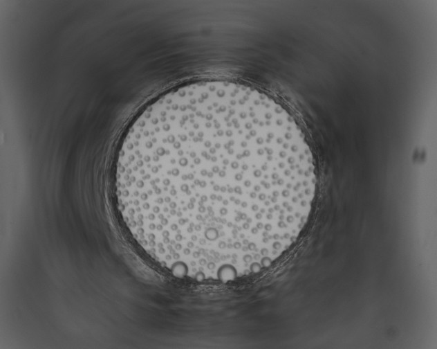 X0000089400145200707131747