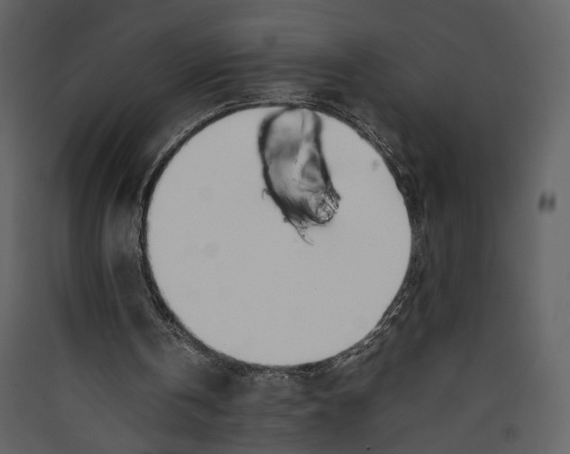X0000089400146200707131747