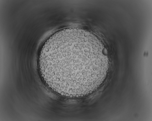 X0000089400149200707131747