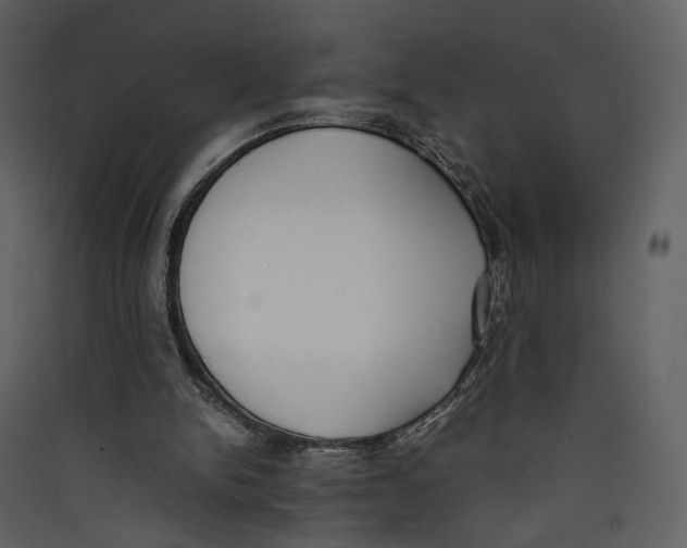 X0000089400150200707131747