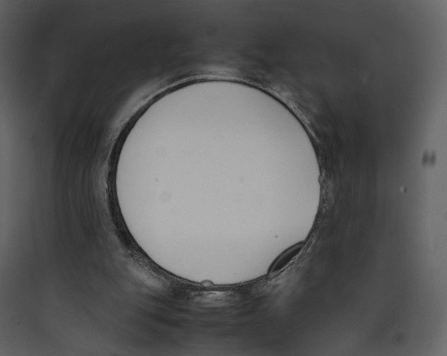 X0000089400151200707131747