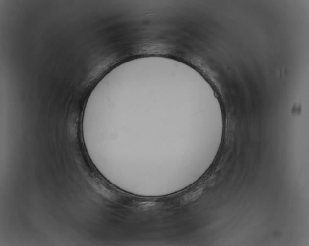 X0000089400153200707131747