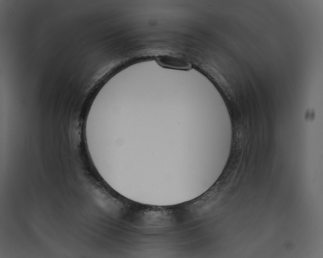 X0000089400160200707131747