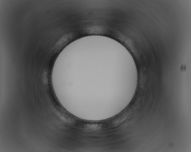 X0000089400161200707131747