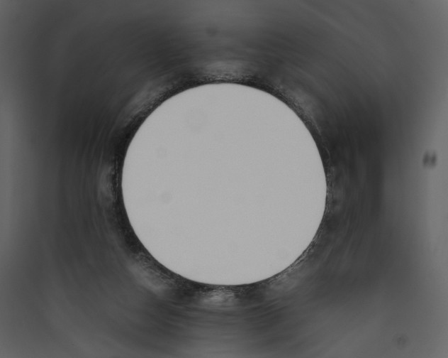 X0000089400162200707131747