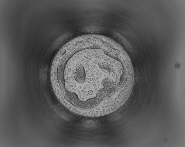 X0000089400163200707131747