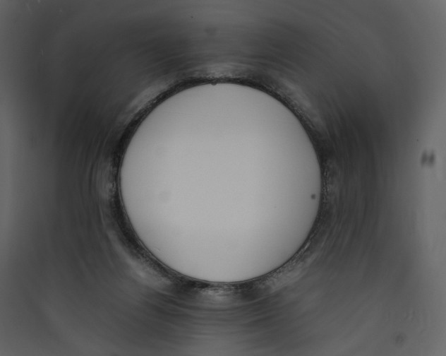 X0000089400164200707131747