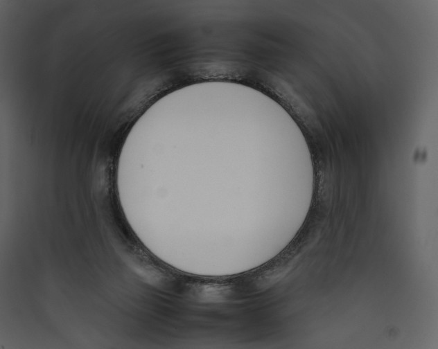 X0000089400165200707131747