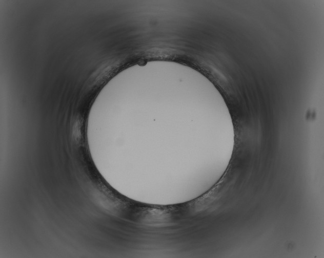 X0000089400166200707131747