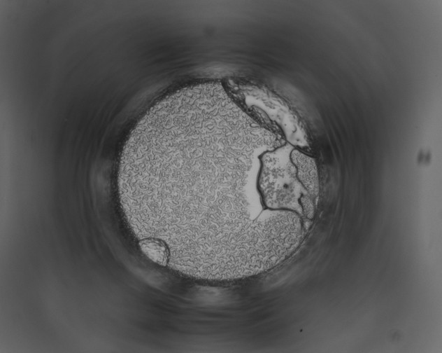 X0000089400167200707131747