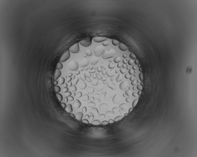 X0000089400169200707131747