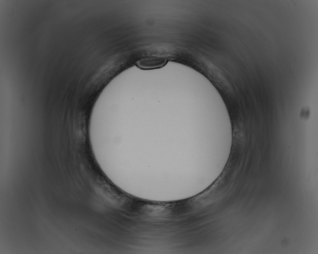 X0000089400170200707131747