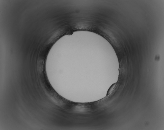 X0000089400171200707131747