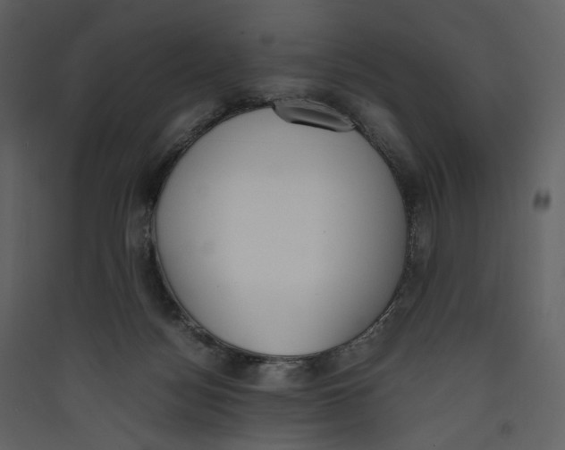 X0000089400172200707131747