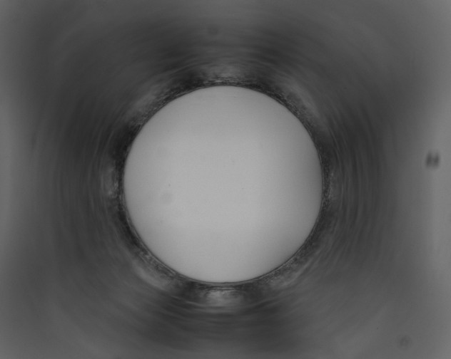 X0000089400173200707131747