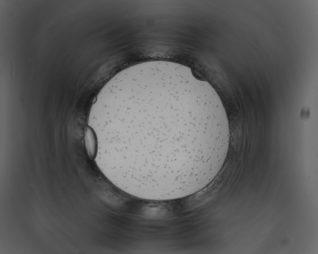 X0000089400175200707131747