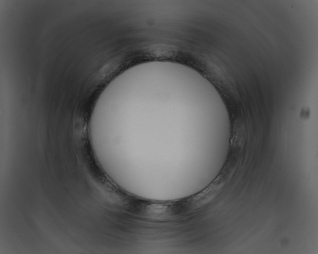 X0000089400176200707131747
