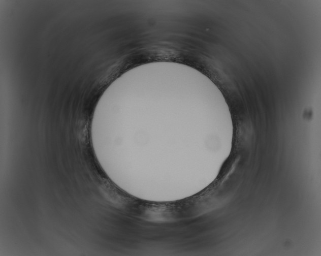 X0000089400177200707131747
