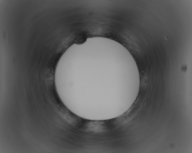 X0000089400179200707131747