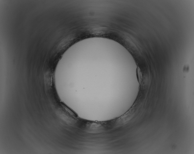 X0000089400180200707131747