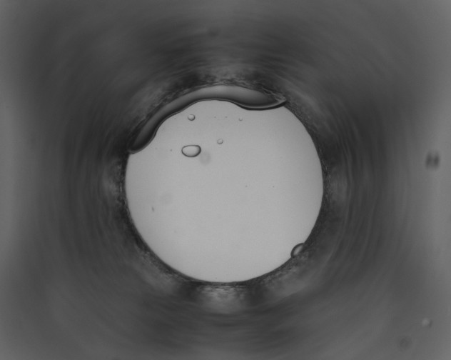 X0000089400181200707131747