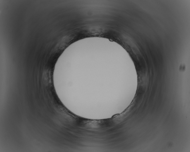 X0000089400182200707131747