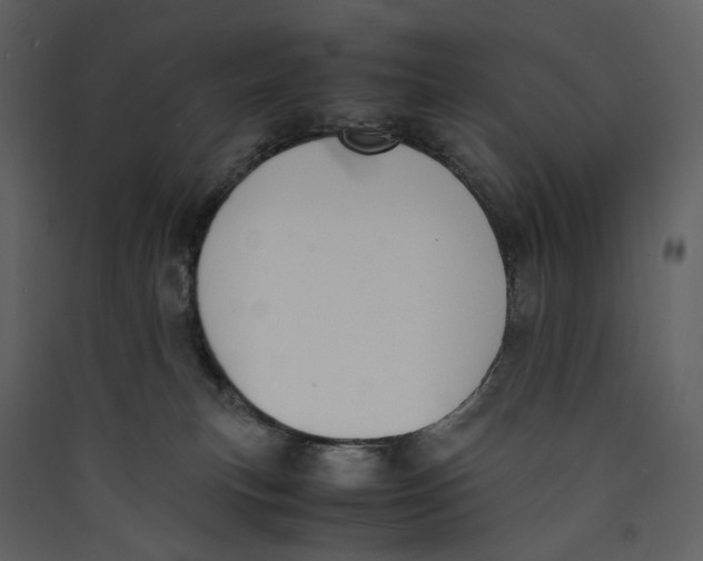 X0000089400183200707131747