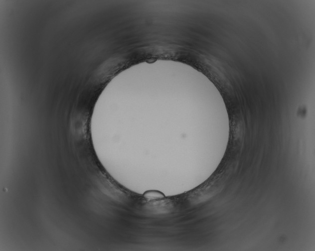 X0000089400185200707131747