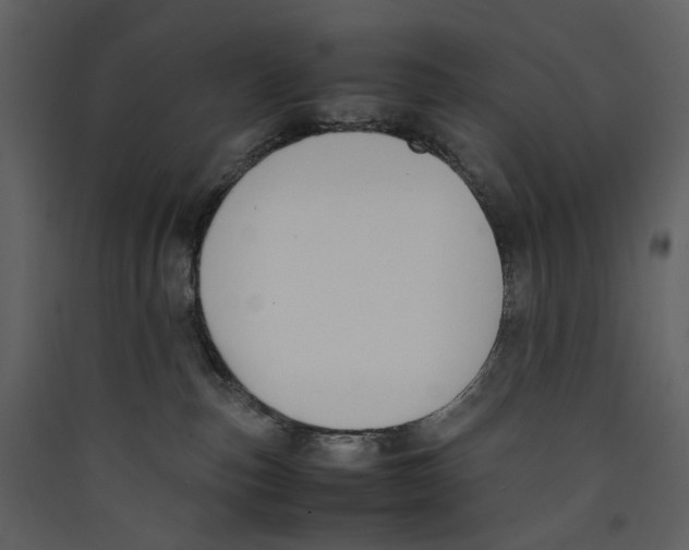 X0000089400187200707131747