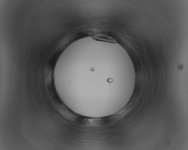X0000089400188200707131747