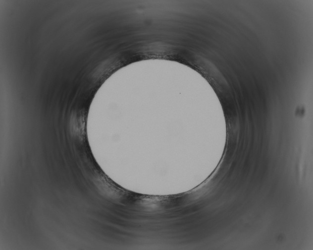 X0000089400190200707131747