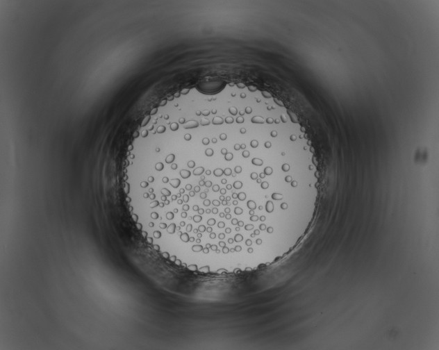 X0000089400191200707131747