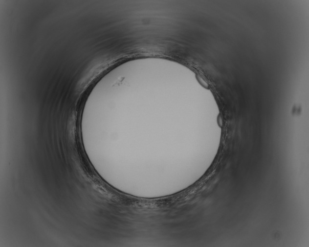 X0000089400194200707131747