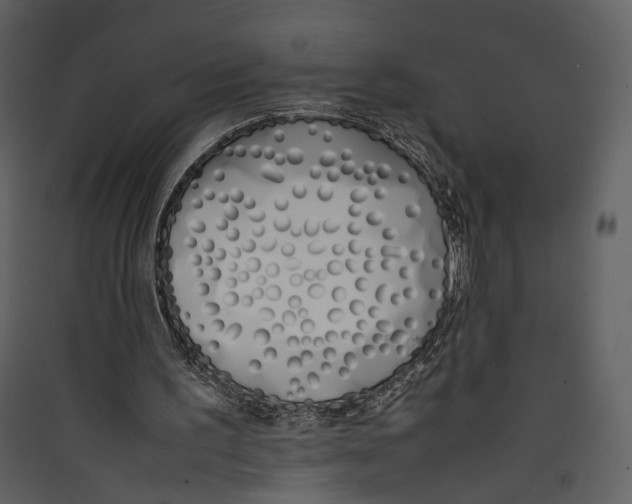 X0000089400195200707131747