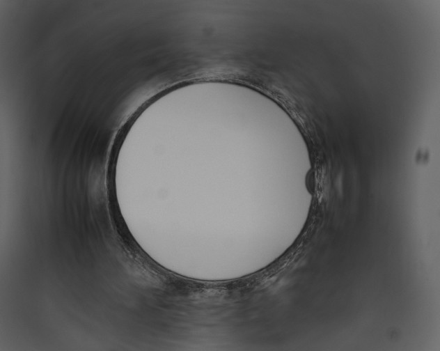 X0000089400196200707131746