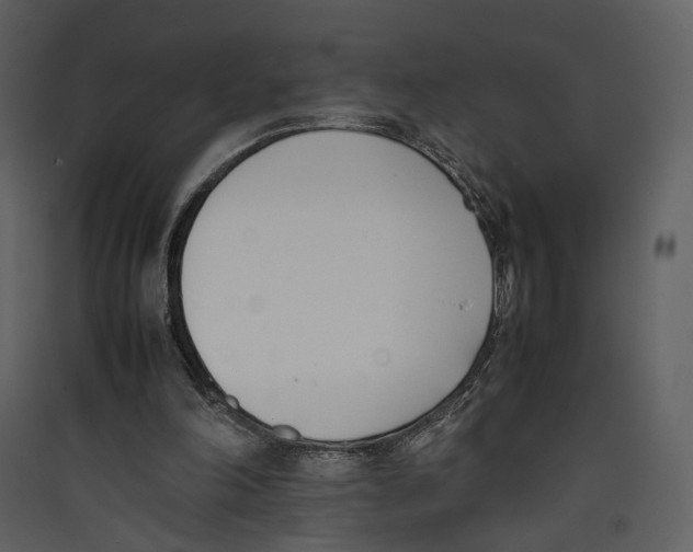 X0000089400198200707131746
