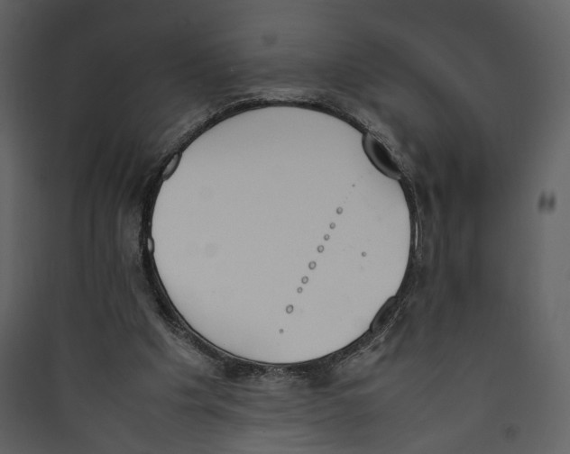 X0000089400201200707131746