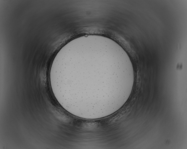 X0000089400202200707131746